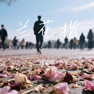 兰花指 (元宝李 Remix)