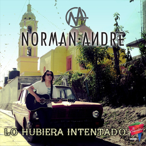 Lo Hubiera Intentado