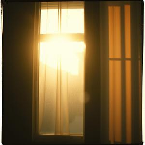 제자리로_일상회복