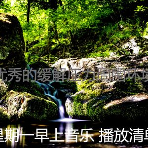 微妙的办公室心情