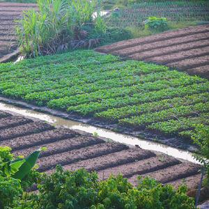 翻唱好想长出叶绿体（伴奏）-B站韩大力—翻唱