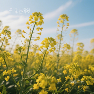 等你花开