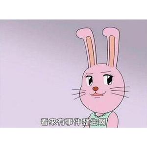 ★兔美酱的熬夜日记★