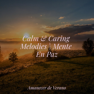 Persiguiendo el brillo de la luminosidad