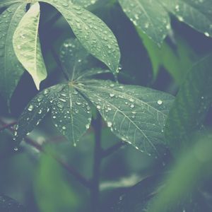 柔和的水疗护理时刻