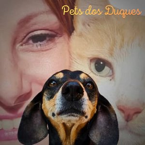 Pet dos Duques (Institucional)