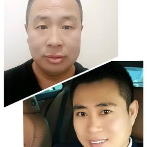 中华79羊群引路人