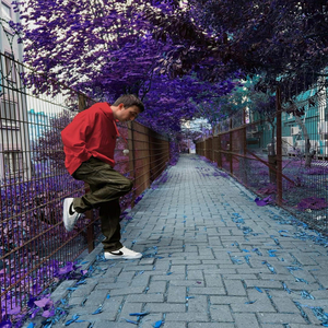 Burry Soprano Goldboy