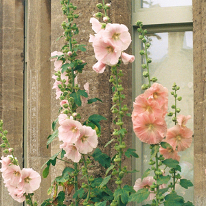 서로여야만 해요