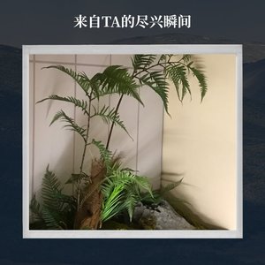 为心情向世界请个假
