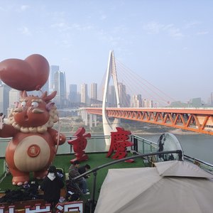 阳光下的星星
