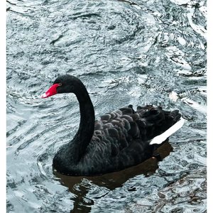 你是我心底写不完的诗