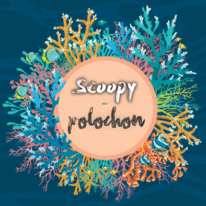 Polochon