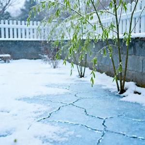 春庭雪 (女声经典) (Cover 邓寓君(等什么君))