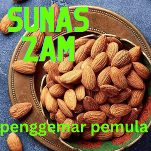 Penggemar Pemula (Acoustic)