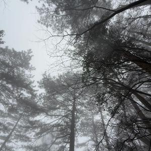 00s周杰伦 type 甜甜的味道 sexxnb x jssr x 90srnb type beat 用这个伴奏写下你们的过往