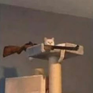 Hard White (sped up)