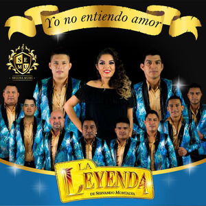 Yo No Entiendo, Amor