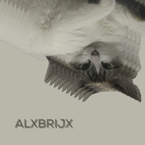 ajedrez