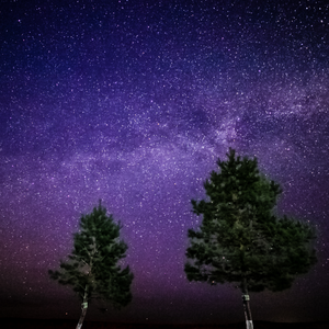 钢琴·请记住我