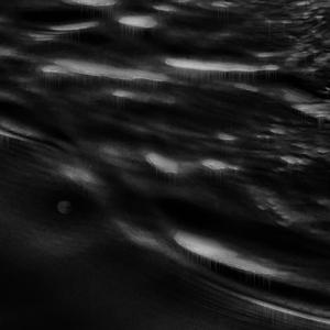 Tilikum (feat. Ceraph)