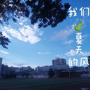 那些花儿(琼初凤凰花开)