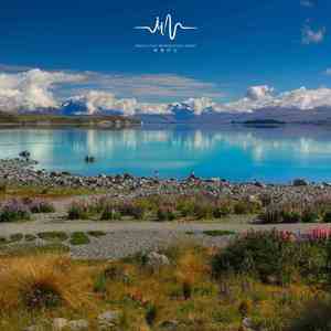 提笔 (书法练字)