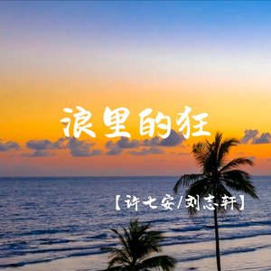 浪里的狂