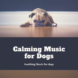 Jazz Hound