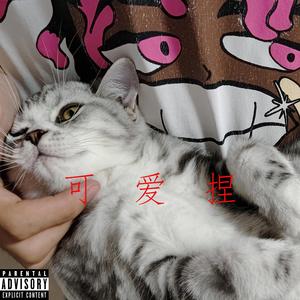 【FREE】“可爱捏” hyperpop type beat 185BPM