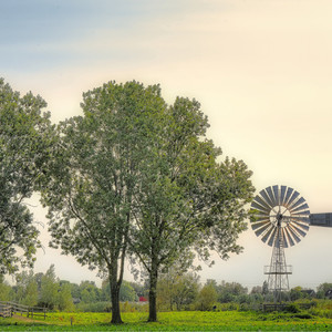 通い路のそよ風