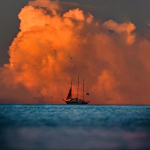 霜染初心梦天涯