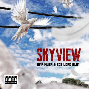 Skyview