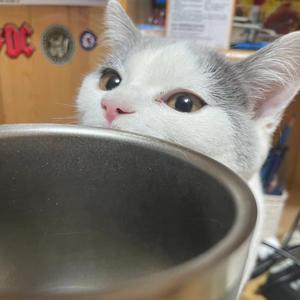 一首失败的作品 虽然我写了很久