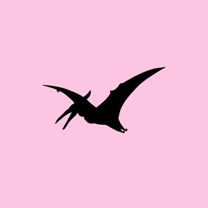 Hatzegopteryx