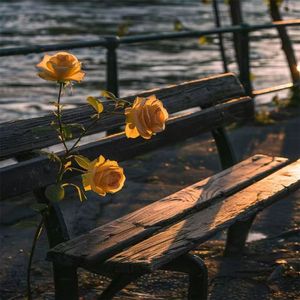 生活如歌 我们一起唱