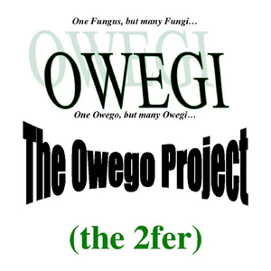 Woke Up This Morning (but, I should of stayed in bed)