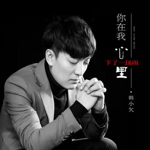 你在我心里下了一场雨