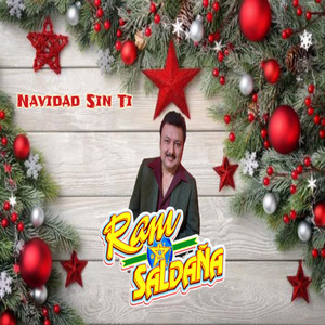 Navidad Sin Ti (Cover)