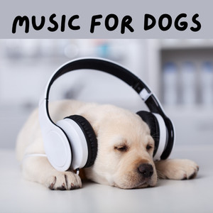 Music for Dogs Peace