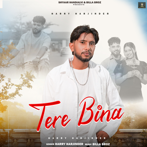 Tere Bina