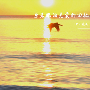 原来眼泪是爱的回执