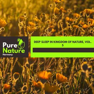 Soothing Woodland Point