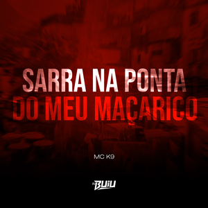 Sarra na Ponta do Meu Maçarico