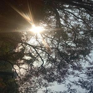 Tera Chehra Hein Jadoo