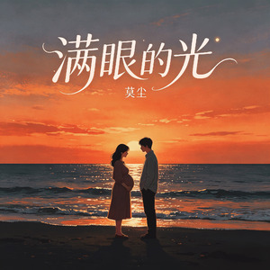 满眼的光