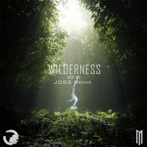 Wilderness (feat. KC) JOSS Remix