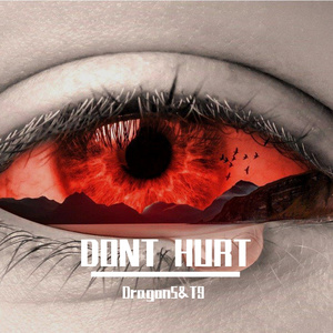 Dragon5&T9 - Dont Hurt ( Vina House Remake)