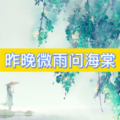 昨晚微雨问海棠 (转动版)