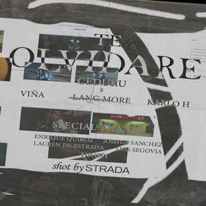 TE OLVIDARE (feat. Viña, KarloH & Lang More)